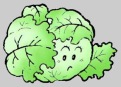 cabbage-vegetable-free-clipart